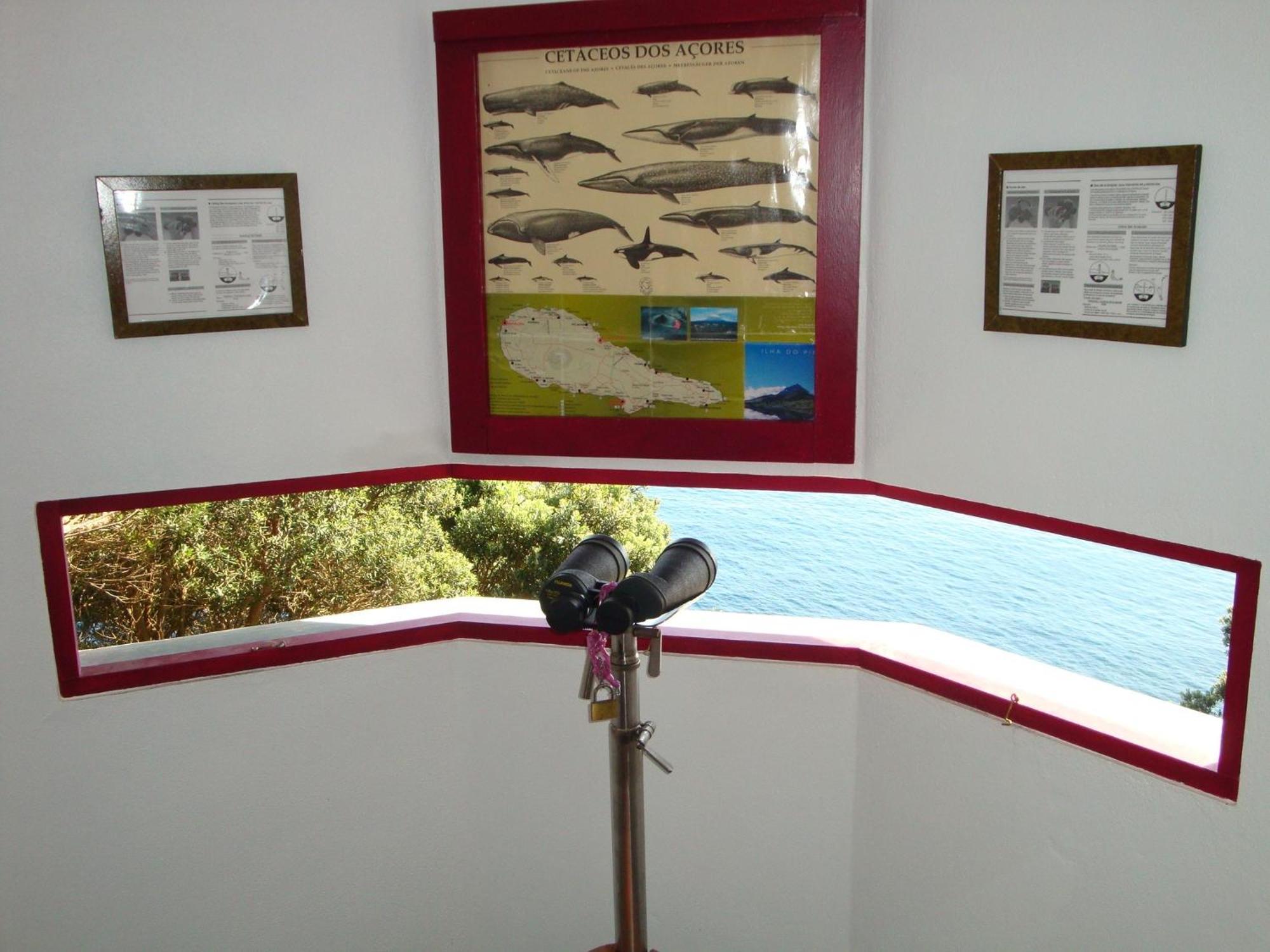 Aldeia Da Fonte Hotel Lajes do Pico Eksteriør billede